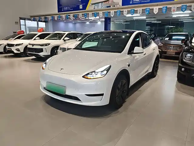 TESLA MODEL Y 2024