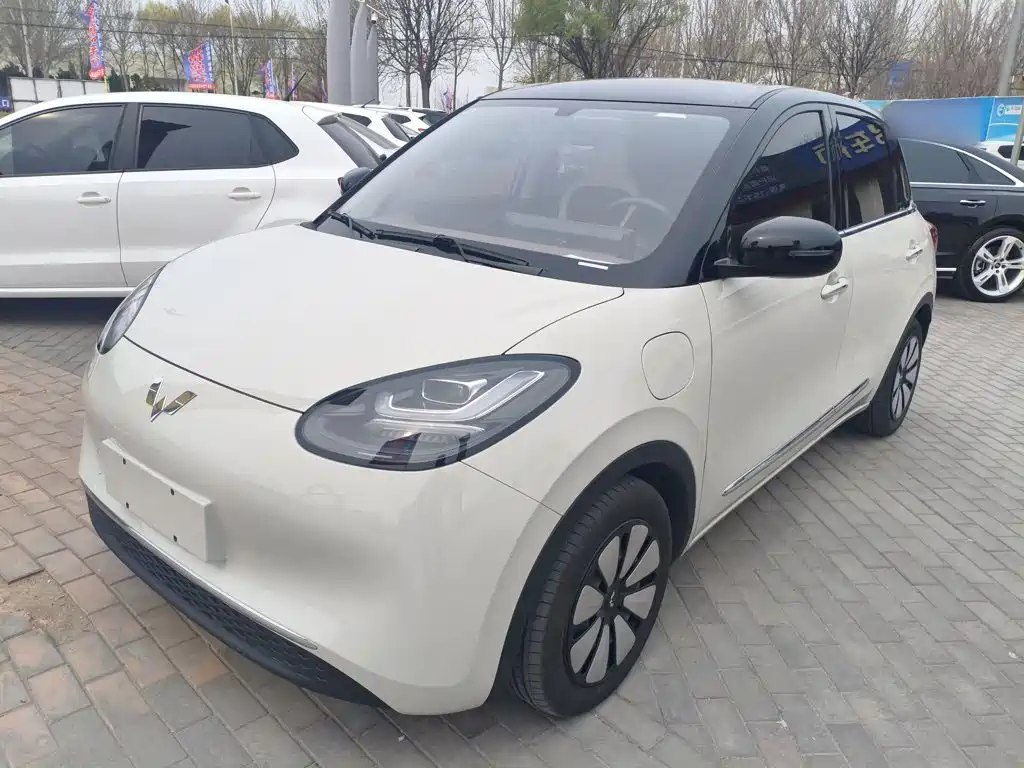 Wuling Binguo 2024 203km Light Enjoy