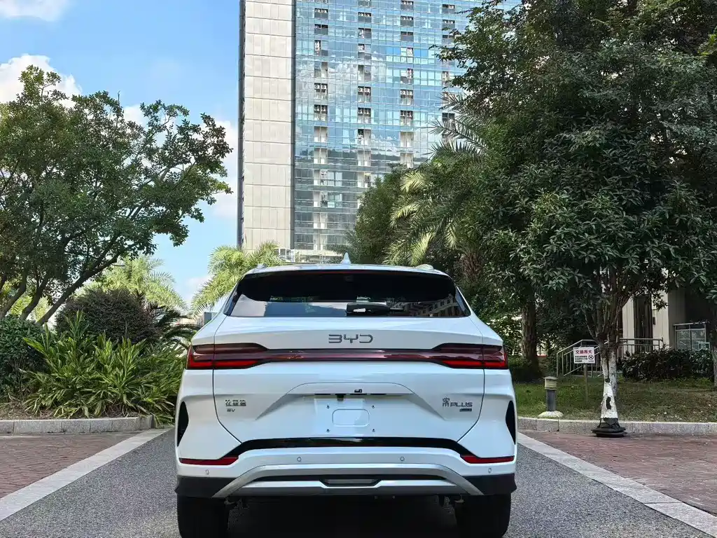 BYD SONGJIANG NEW ENERGY