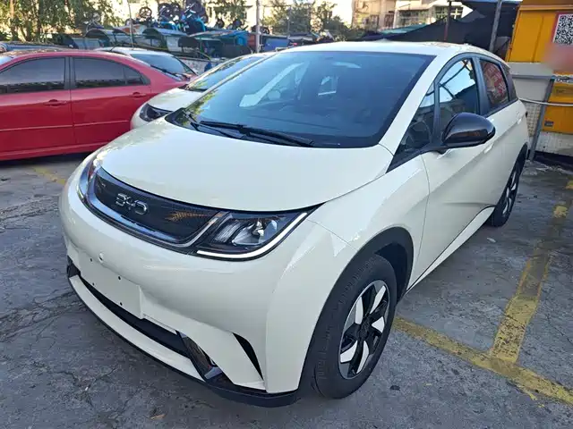 BYD DOLPHIN 2025