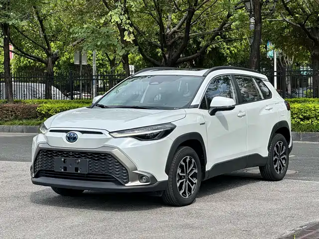 TOYOTA FENGLANDA 2023