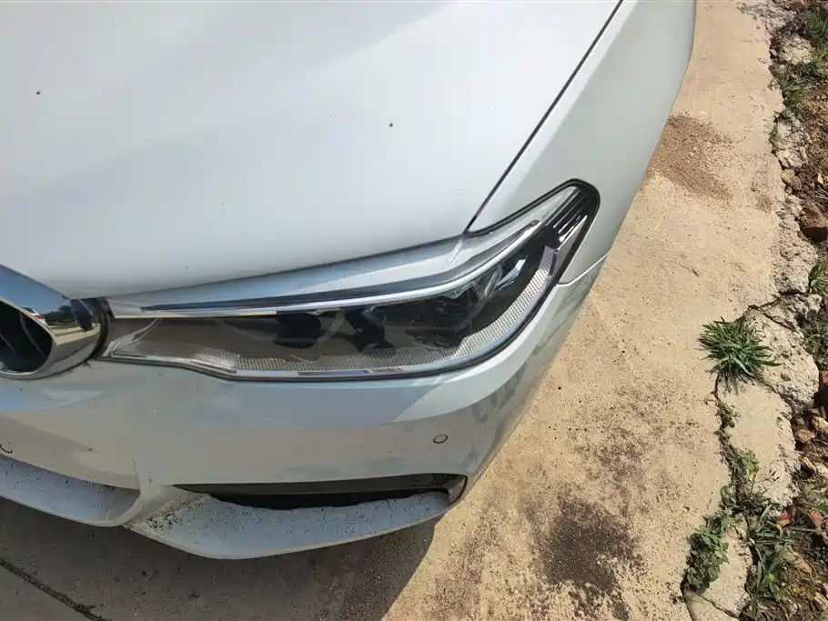 BMW 5 Series 5 2018 530Li Premium M Sport
