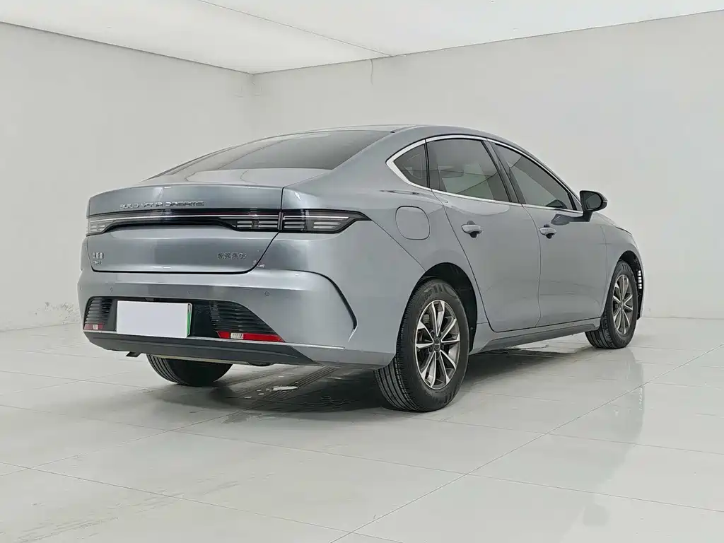 BYD Destroyer 05 2024 DM-i 55KM Luxury