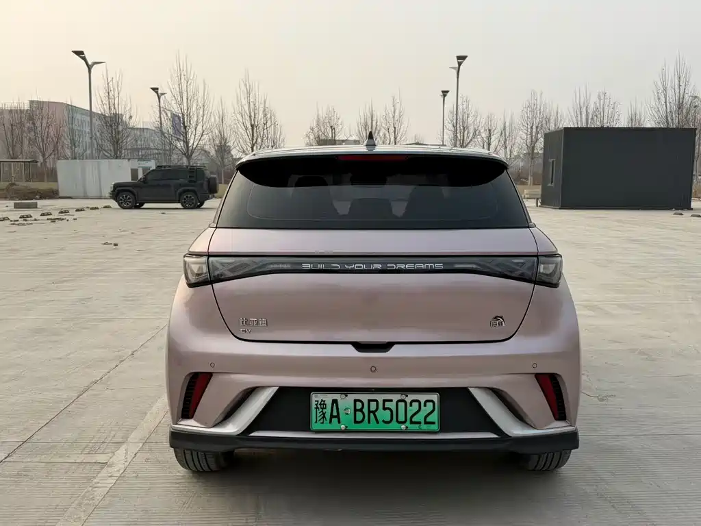 BYD DOLPHIN