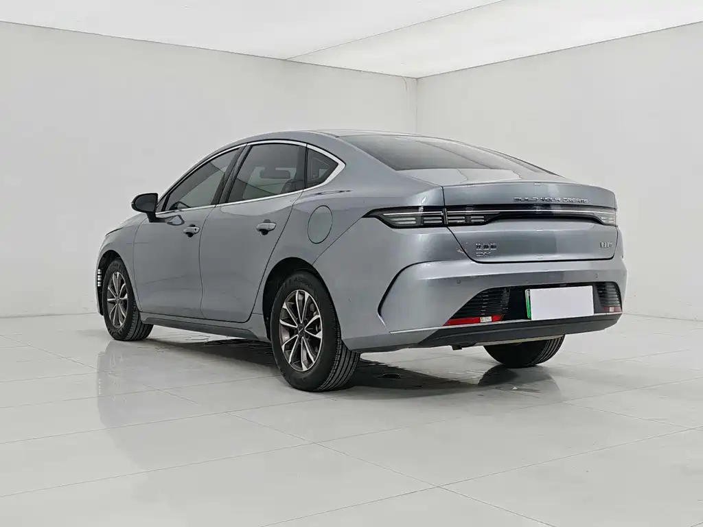 BYD Destroyer 05 2024 DM-i 55KM Luxury