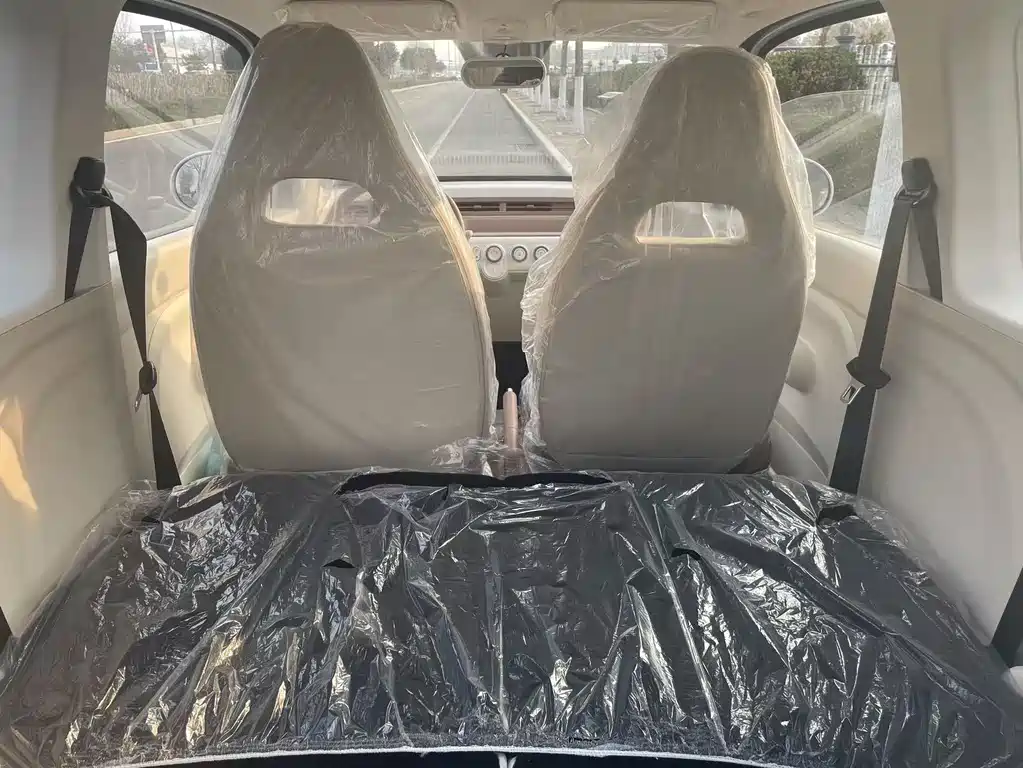 BESTUNE PENTIUM PONY