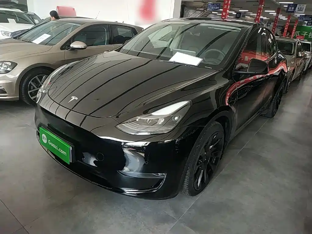 Tesla Model Y 2021 Standard Range RWD Edition