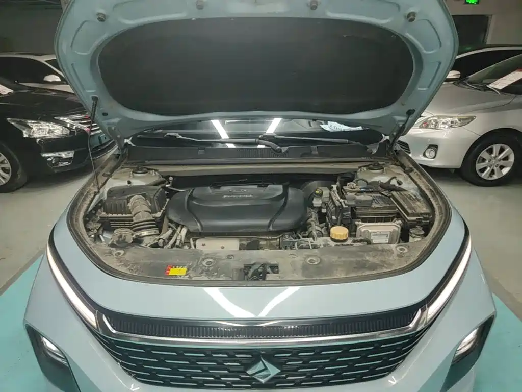 Baojun Valli — миниатюра 20