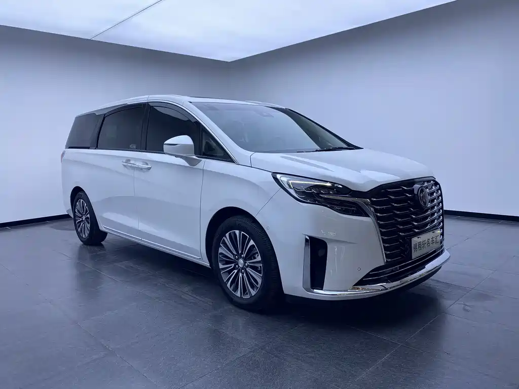 Buick GL8 2023 ES Luxury
