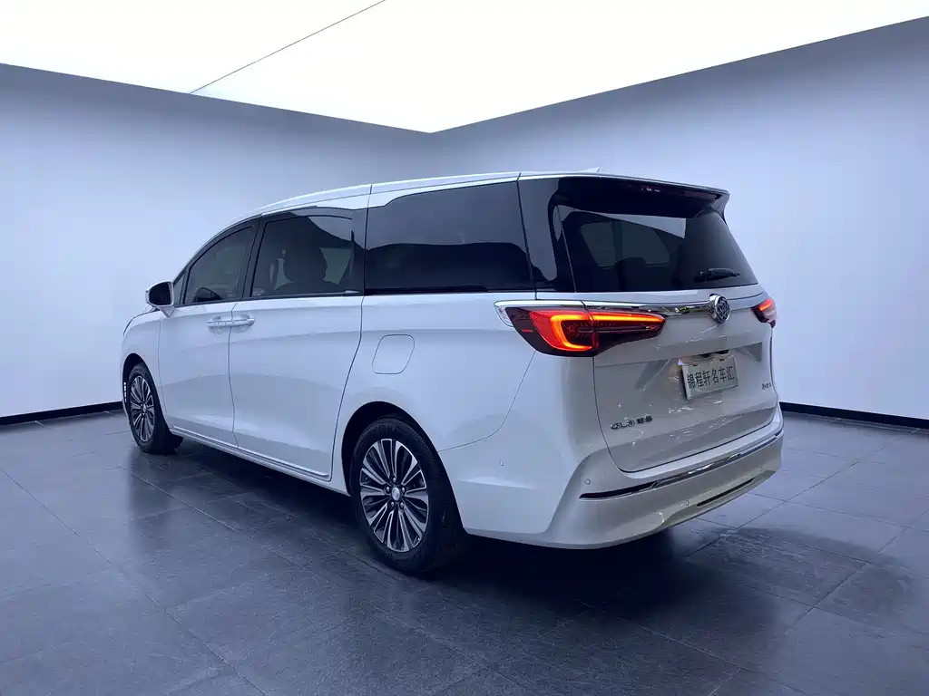 Buick GL8 2023 ES Luxury