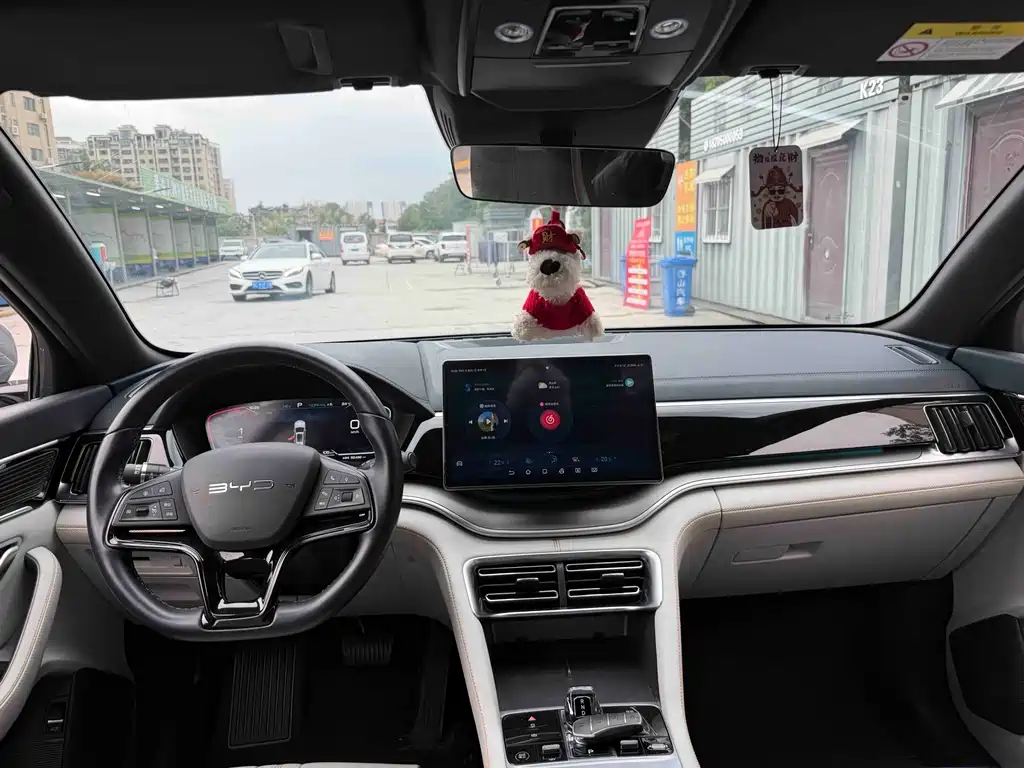 BYD PLUS New Energy — миниатюра 8