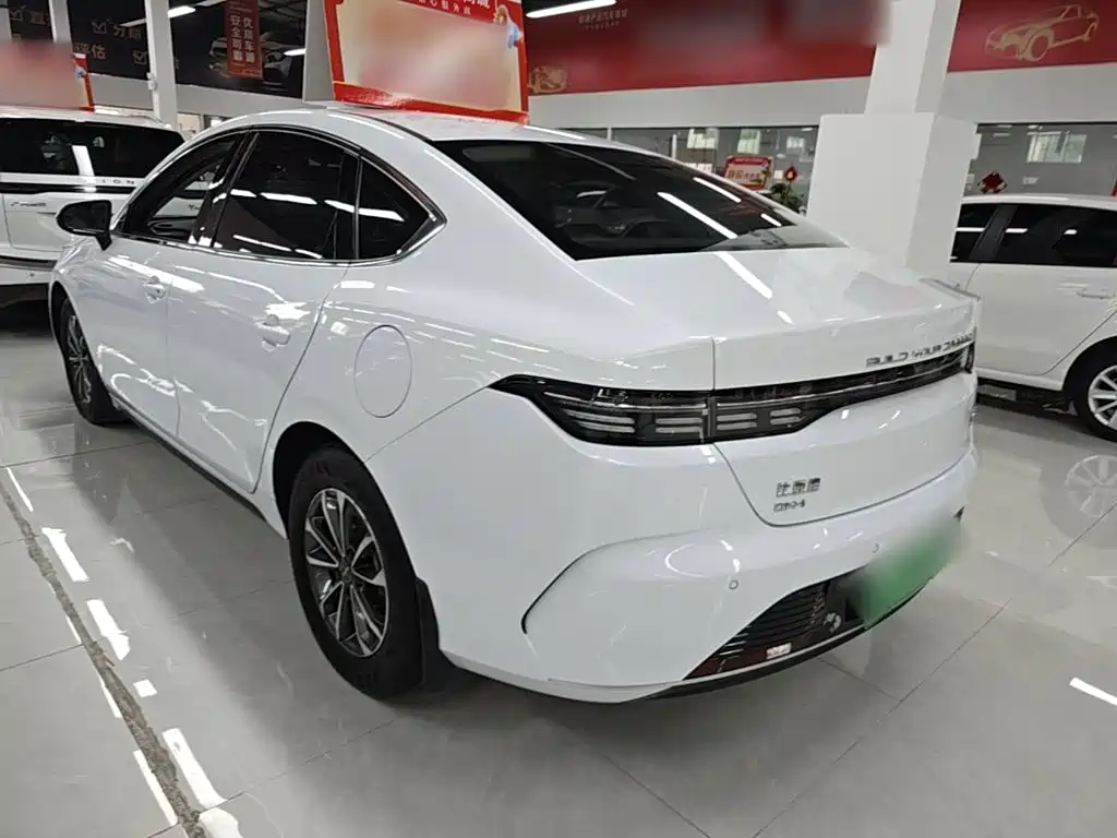 BYD Destroyer 05 2023 Champion DM-i 55KM Luxury