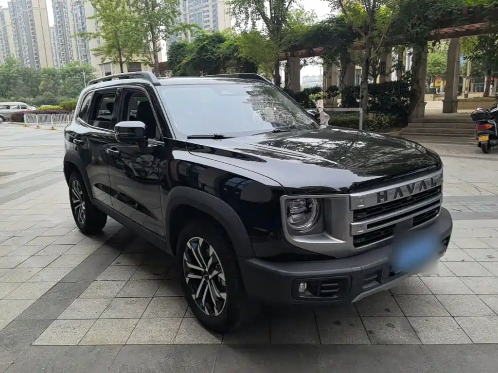 Haval 长城大狗 — миниатюра 4