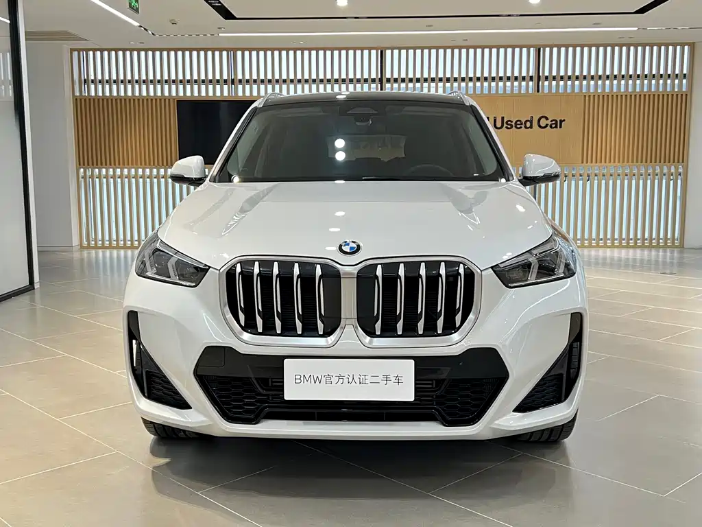 BMW X1 — миниатюра 2
