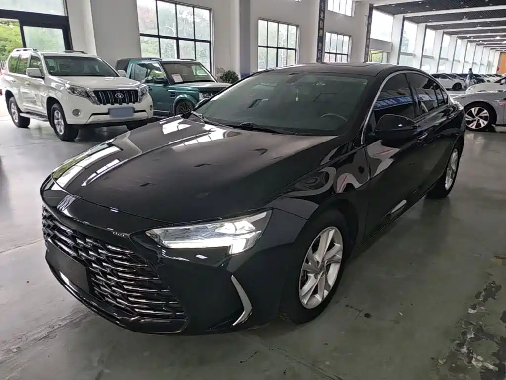 Buick Regal — миниатюра 2