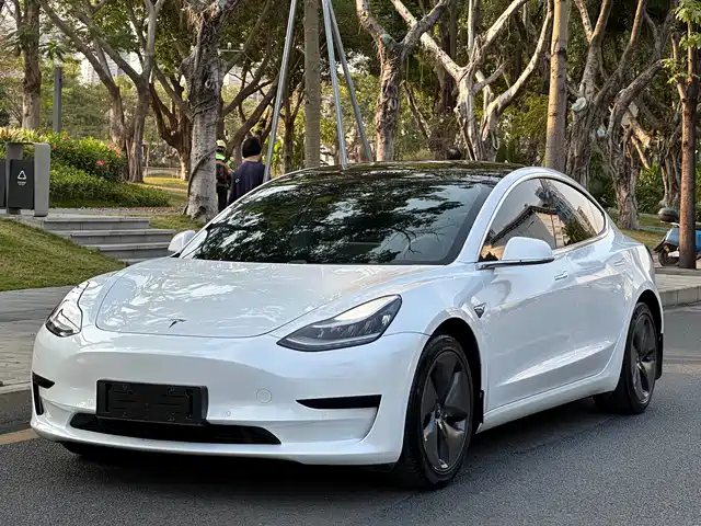 TESLA MODEL 3 2020