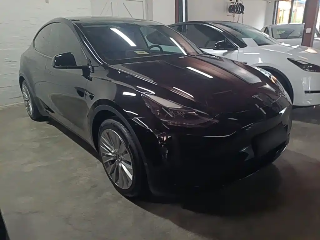 Tesla Model Y — миниатюра 4