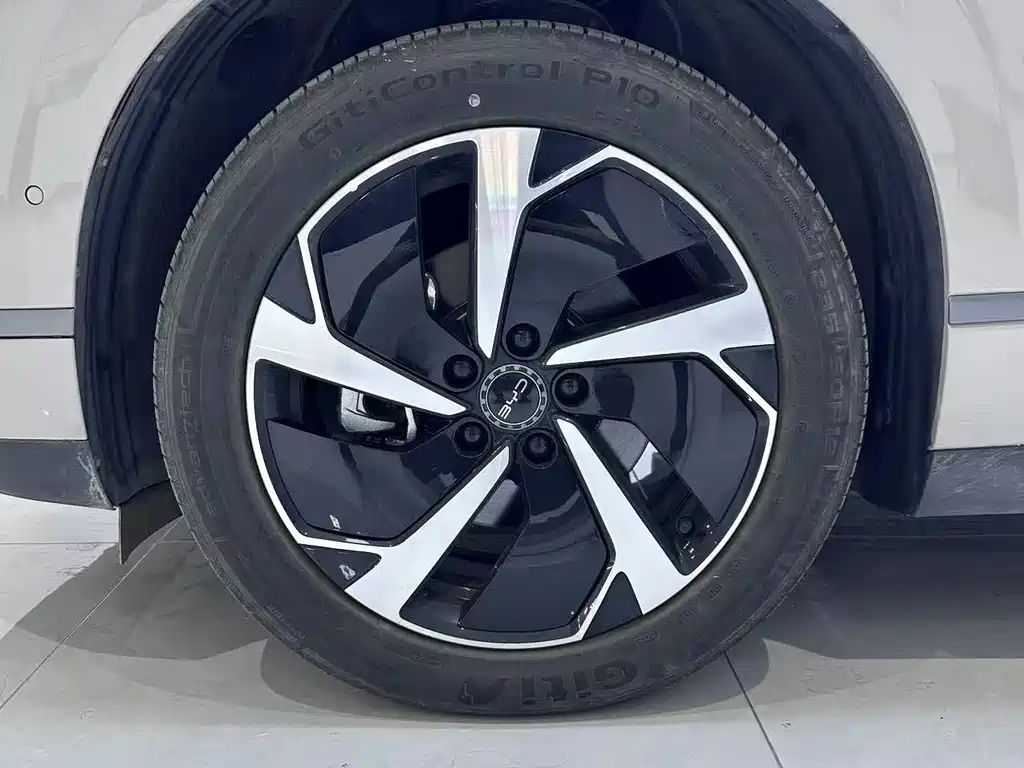 BYD Sealion 06 — миниатюра 3
