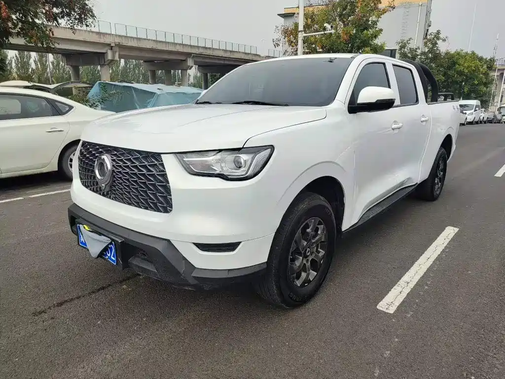 Great Wall Pao — миниатюра 2