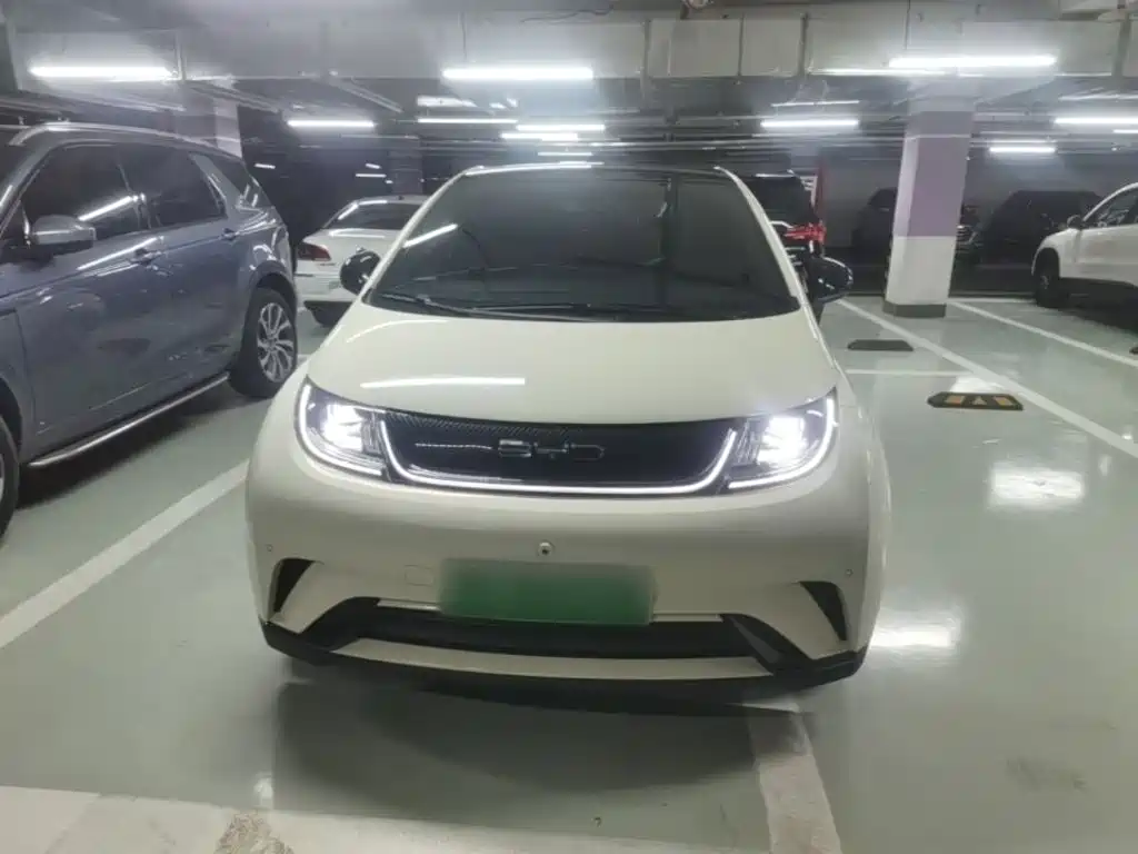 BYD Dolphin — миниатюра 3