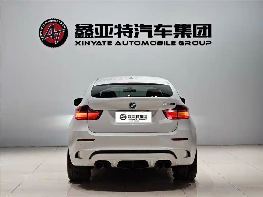 BMW X6 M 2010 X6 M