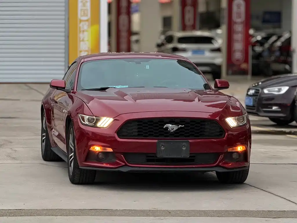 Ford Mustang — миниатюра 3