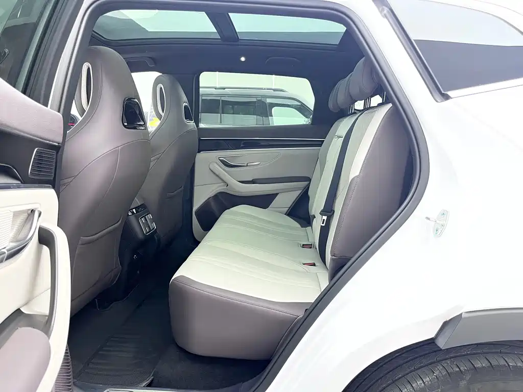 BYD PLUS New Energy — миниатюра 8