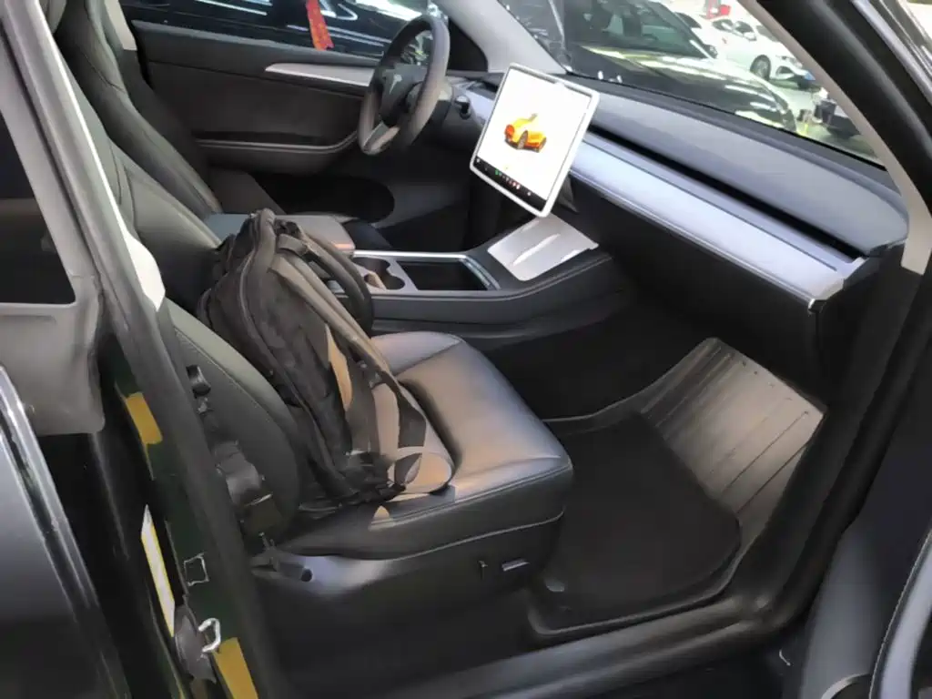 Tesla Model Y — миниатюра 25