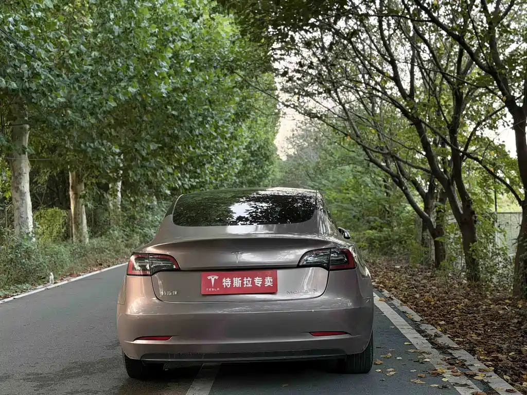 Tesla Model 3 — миниатюра 9
