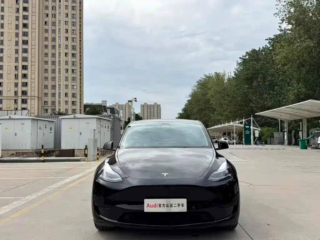 Tesla Model Y — миниатюра 2