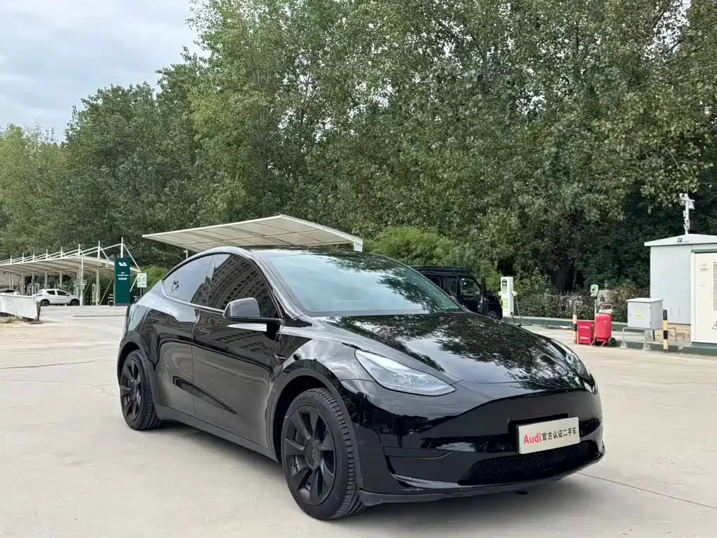 Tesla Model Y — миниатюра 3