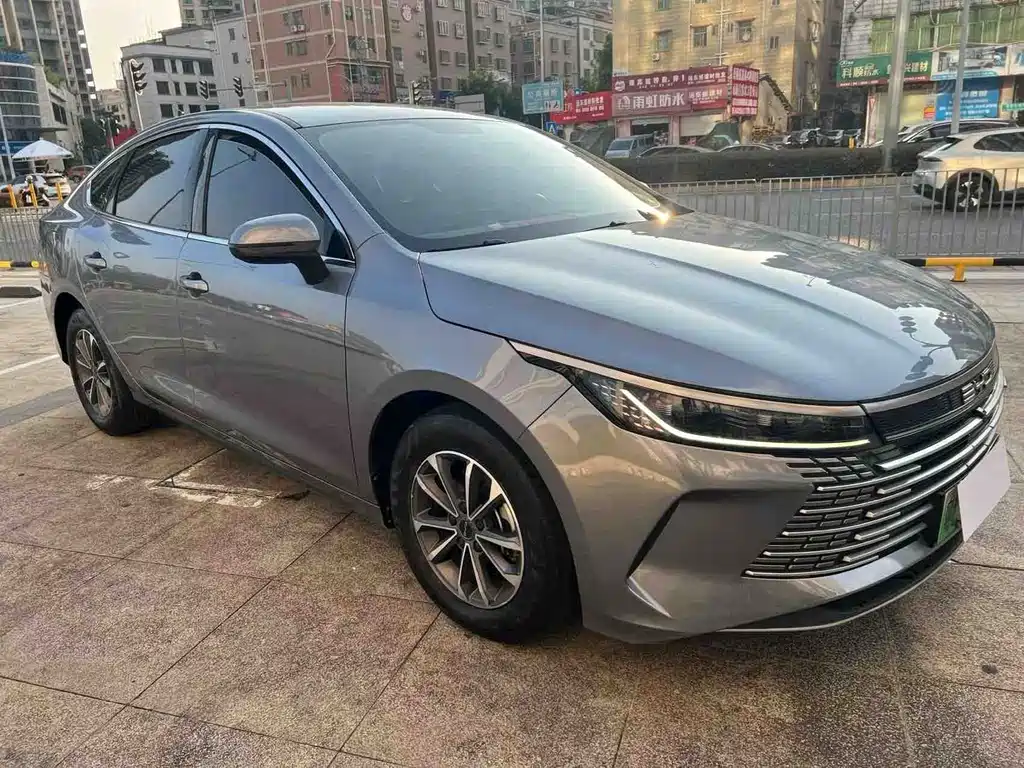 BYD Destroyer 05 — миниатюра 3