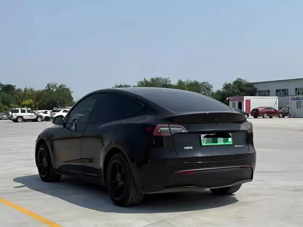 Tesla Model Y — миниатюра 6