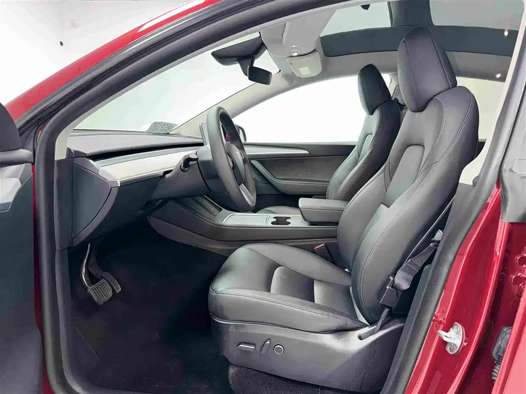 Tesla Model Y — миниатюра 4