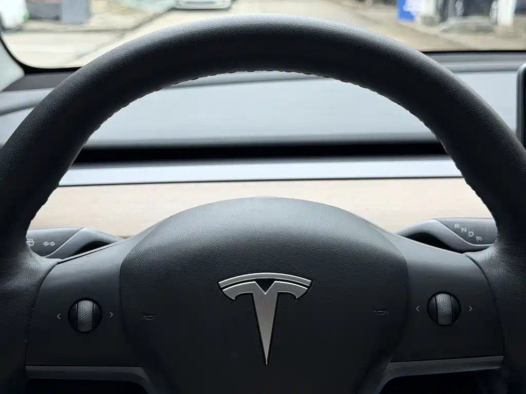 Tesla Model Y — миниатюра 3