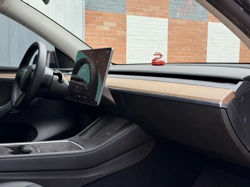 Tesla Model Y — миниатюра 6