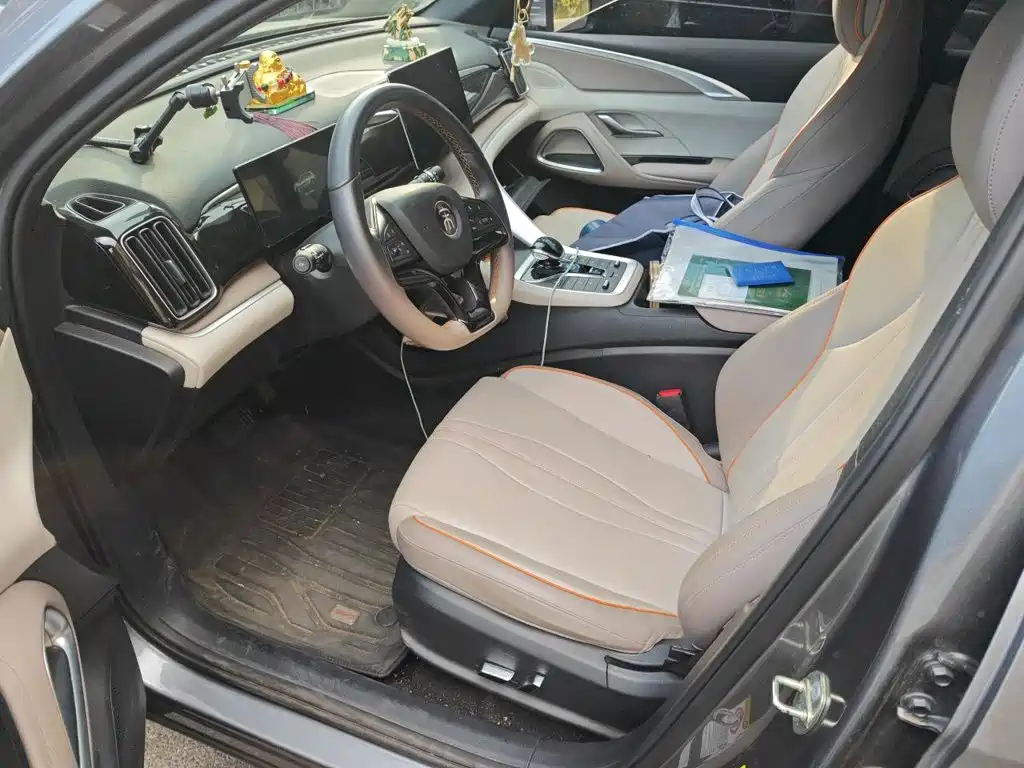 BYD Pro New Energy — миниатюра 11