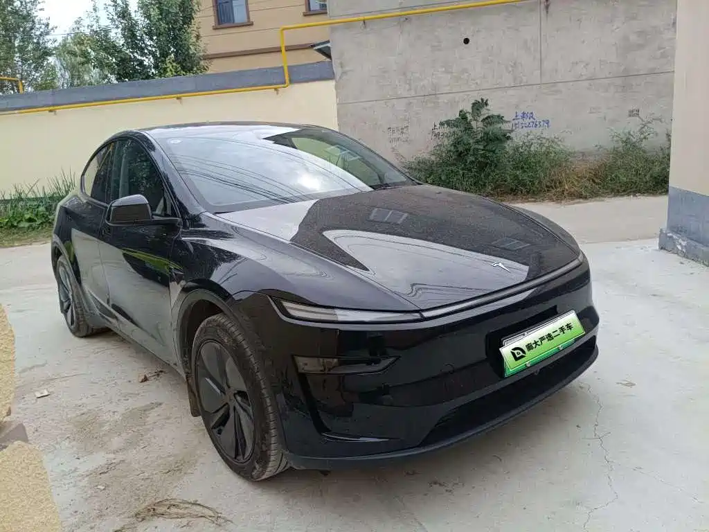 Tesla Model Y — миниатюра 3