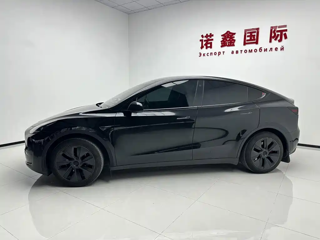 Tesla Model Y — миниатюра 3