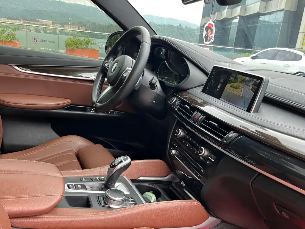 BMW X6 — миниатюра 25