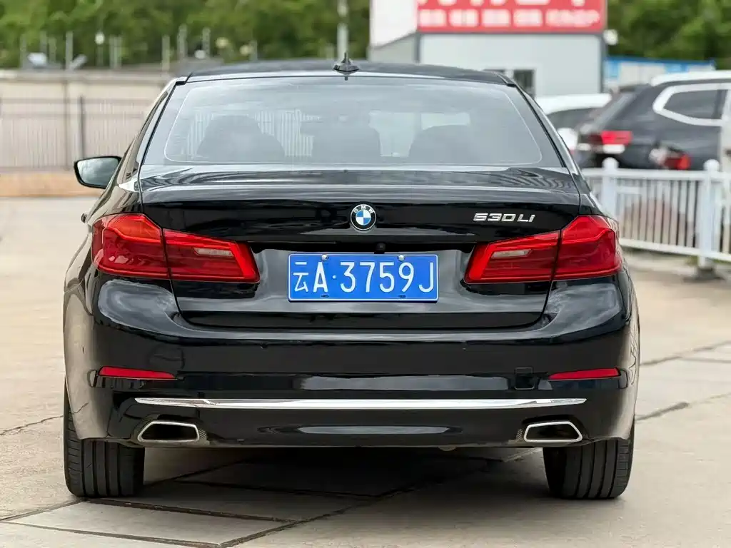 BMW 5 Series 5 2020 530Li Premium Luxury