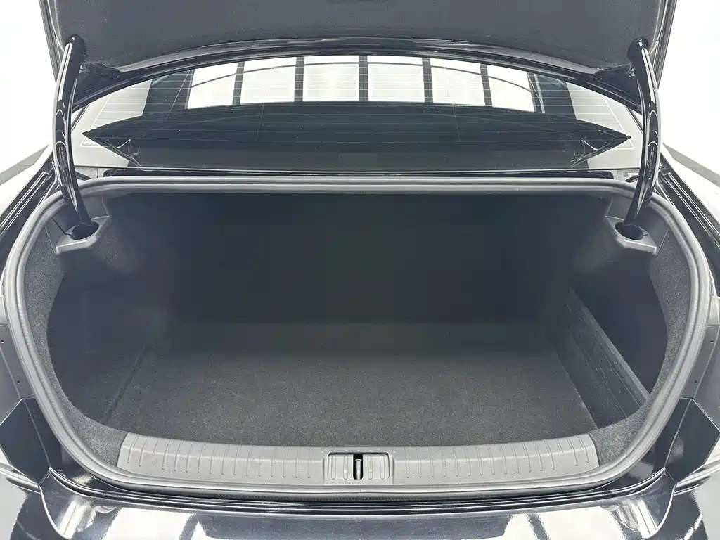 Volkswagen Magotan 2 Million Units Commemorative Edition 280TSI DSG Comfort Type, фото 16