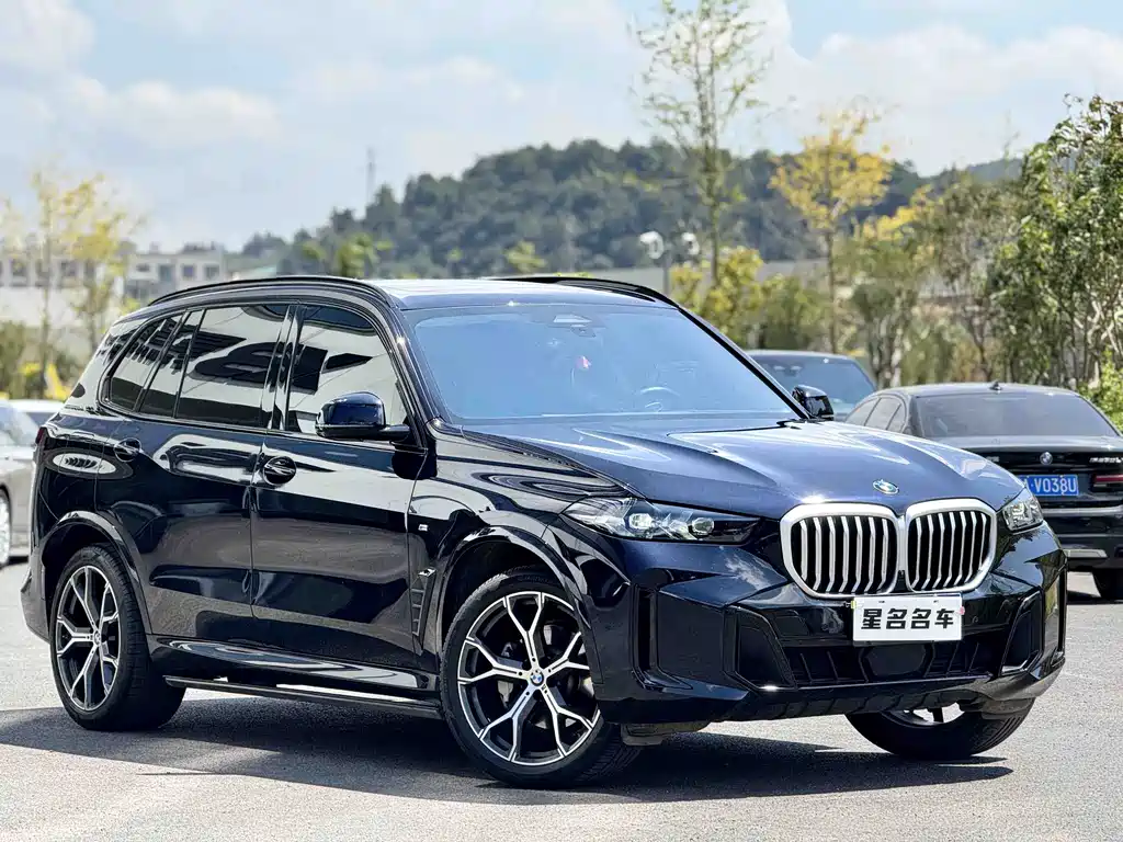 BMW X5 — миниатюра 3