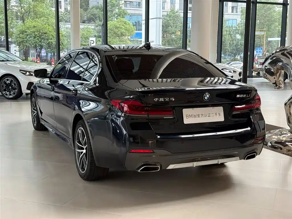 BMW 5 Series — миниатюра 11