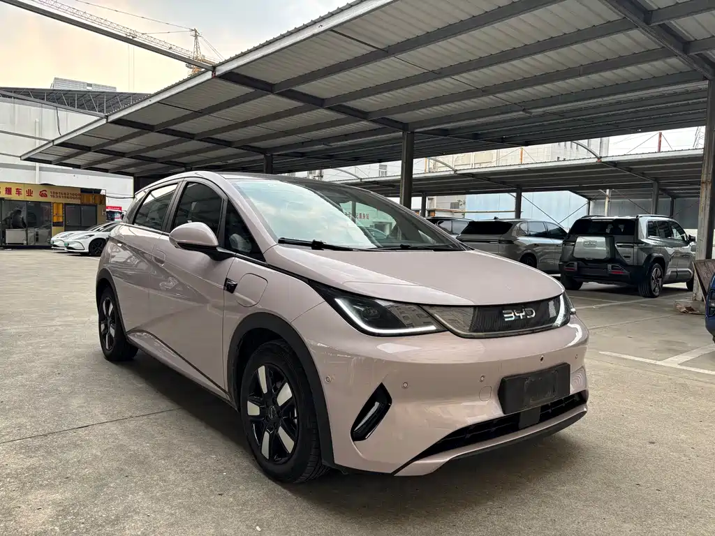 BYD Dolphin 2025 Smart Drive 410km Fashion
