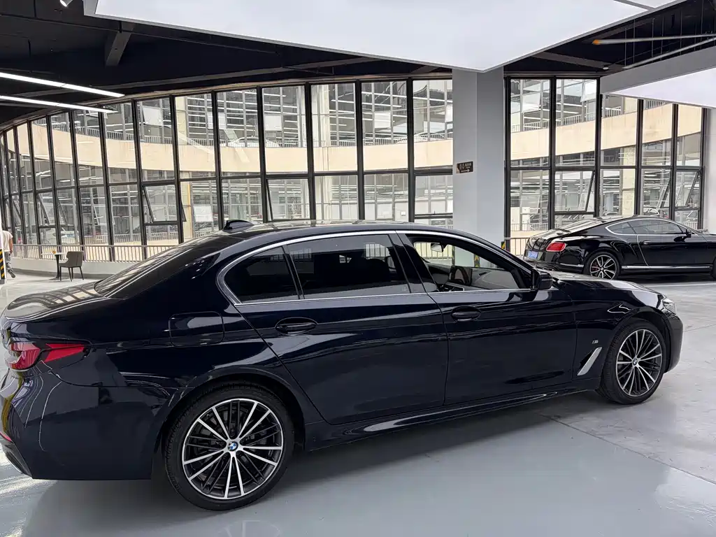 BMW 5 Series — миниатюра 3
