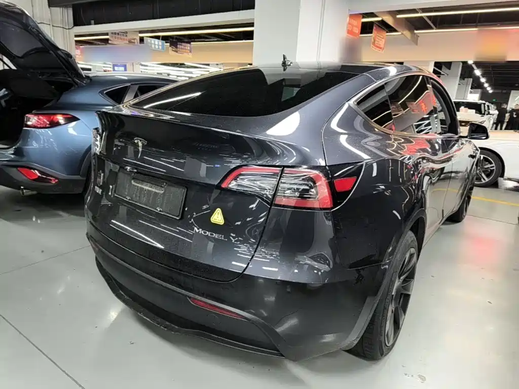 Tesla Model Y — миниатюра 7
