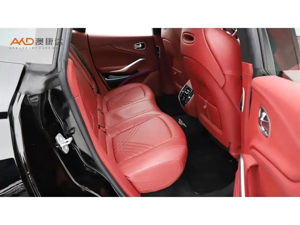 Aston Martin DBX — миниатюра 8