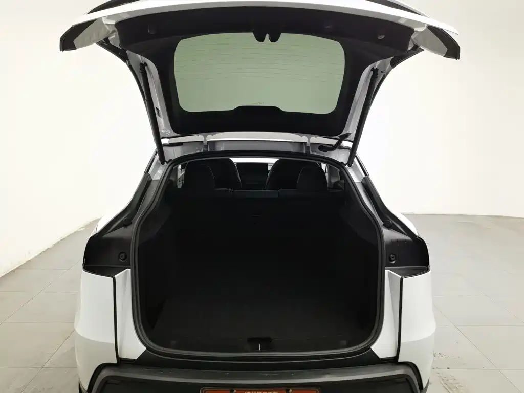 Tesla Model Y — миниатюра 16