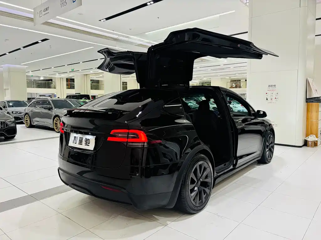 Tesla Model X — миниатюра 4